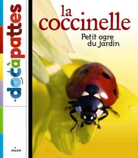 La coccinelle