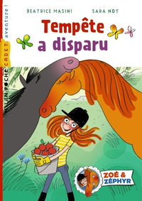 Tempête a disparu