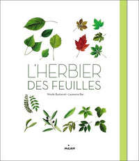 L'herbier des feuilles