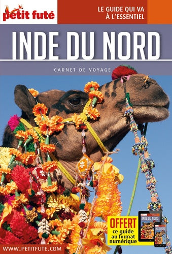 Inde du Nord-Rajasthan 2016 Carnet Petit Futé