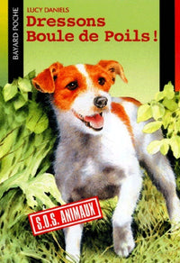 100% animaux, Tome 04: Dressons Boule de poils !
