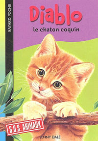 Diablo le chaton coquin