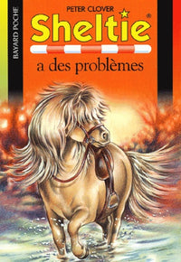 Sheltie a des problèmes