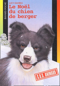 Le Noël du chien de berger