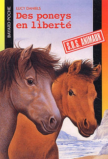 Des poneys en liberté
