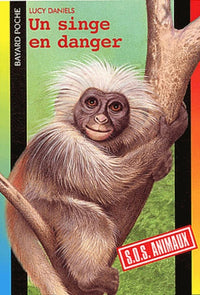 Un singe en danger