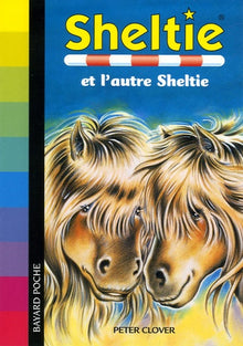 Sheltie et l'autre Sheltie