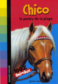 Chico le poney de la plage