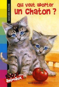 Qui veut adopter un chaton ? relookage