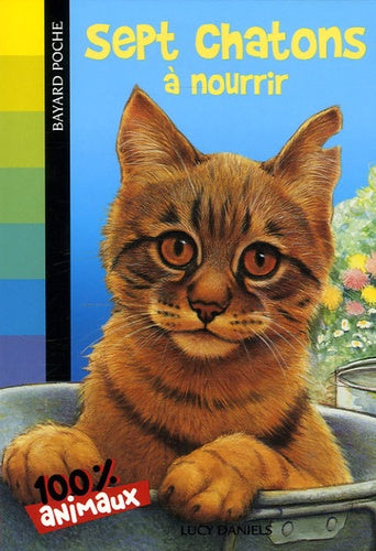 Sept chatons à nourrir