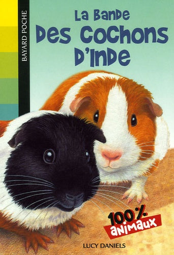 La bande des cochons d'Inde