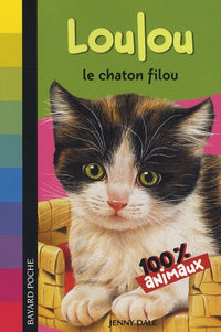 Loulou le chaton filou