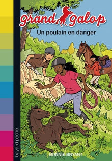 Un poulain en danger