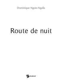 Route de nuit