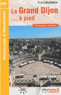 Grand Dijon a pied 2010 - 21 - PR - P211 (0)