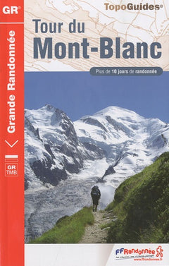 TOUR DU MONT BLANC 2010 - 73-74-SUISSE-ITALIE - GR - 028
