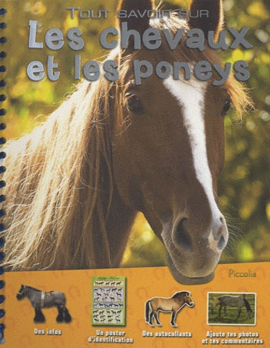Tout savoir sur les chevaux et les poneys