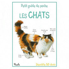 Les Chats - Petit Guide de Poche