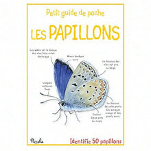Les papillons - Petit guide de poche
