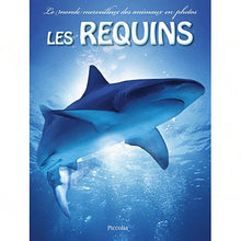 Les requins