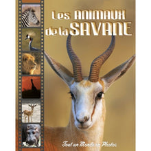 Les animaux de la savane