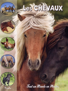 Les chevaux