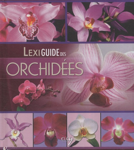 Lexiguide des orchidées