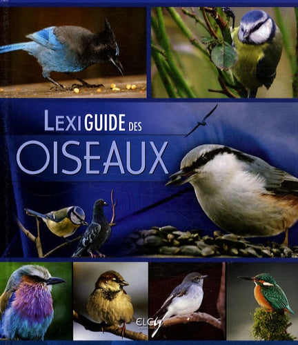 Lexiguide des oiseaux