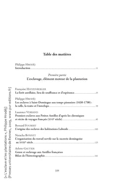 L'esclave et les plantations