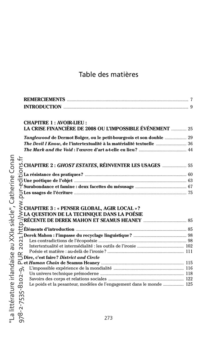 La littérature irlandaise au XXIe siècle: Matière, espace, environnement