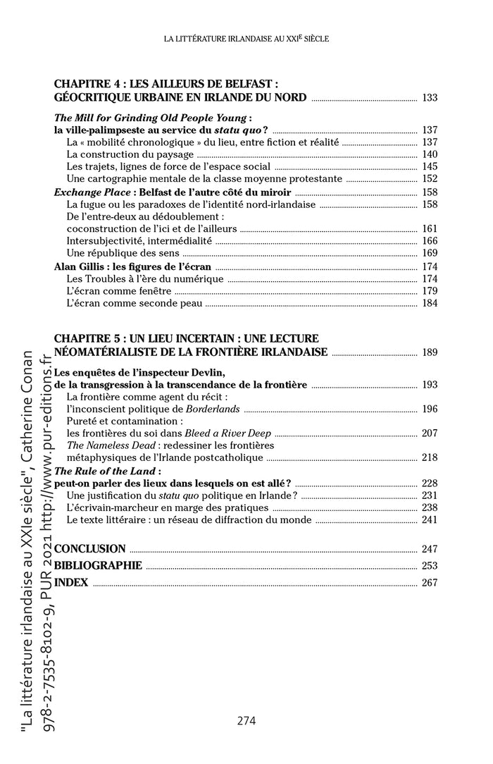 La littérature irlandaise au XXIe siècle: Matière, espace, environnement