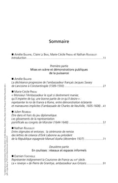 Le diplomate en représentation