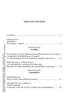 Approches submorphémiques de l'espagnol