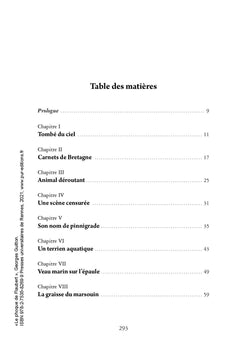 Le phoque de Flaubert