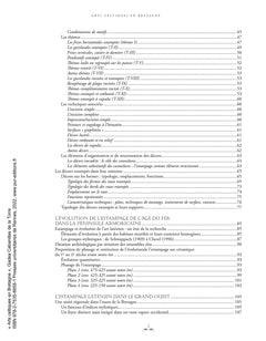 Les arts celtiques en Bretagne