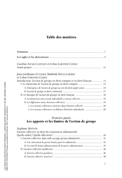 Actions de groupe en droit français