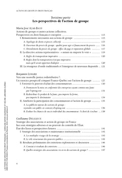 Actions de groupe en droit français