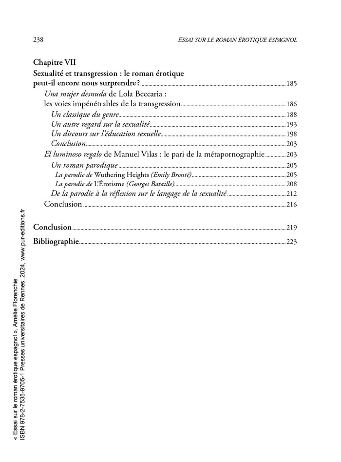 Essai sur le roman érotique espagnol