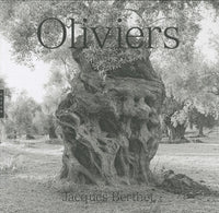 Oliviers