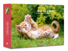 L'agenda-calendrier Jeux de Chats 2020