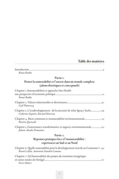 Insoutenabilités : une perspective en économie politique
