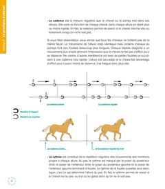 Les fondamentaux de l'équitation galops 3 et 4