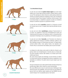 Les fondamentaux de l'équitation galops 3 et 4