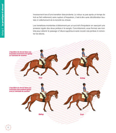 Les fondamentaux de l'équitation galops 5 à 7
