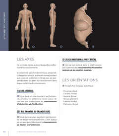 L'incontournable de l'anatomie