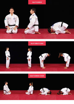 Techniques de judo