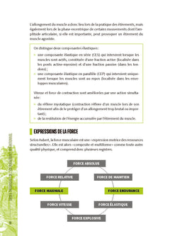 Forces spéciales  - Préparation et entraînement
