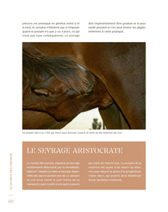 Le silence des chevaux