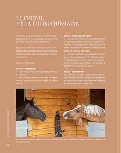 Le silence des chevaux