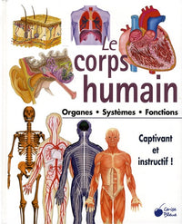 Le corps humain : Organes Systèmes Fonctions